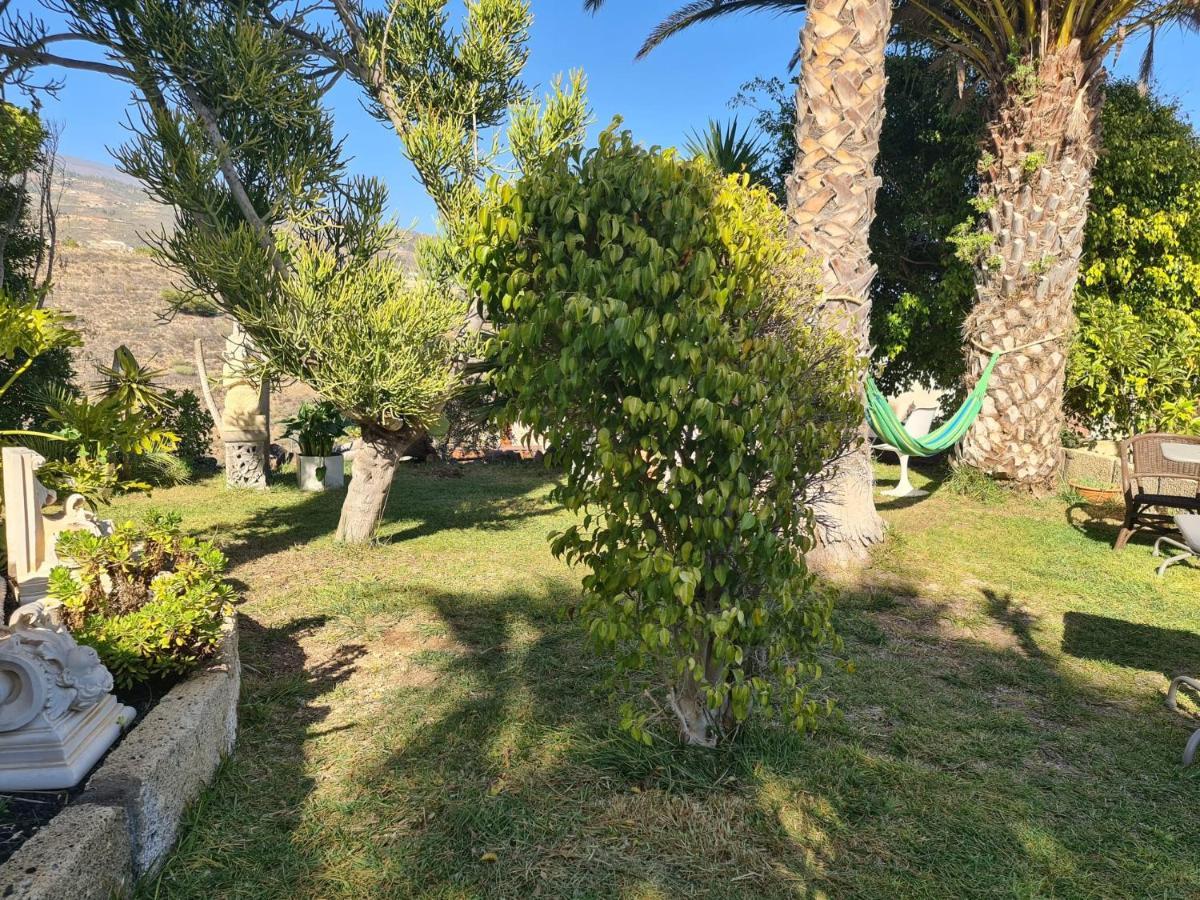 Finca Tropical Arico Viejo Exterior foto